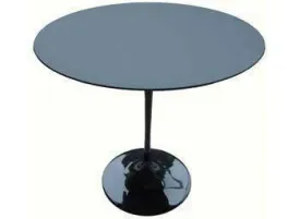 Eero Saarinen Tulip Table - Oval Side 16 x 24 Inch