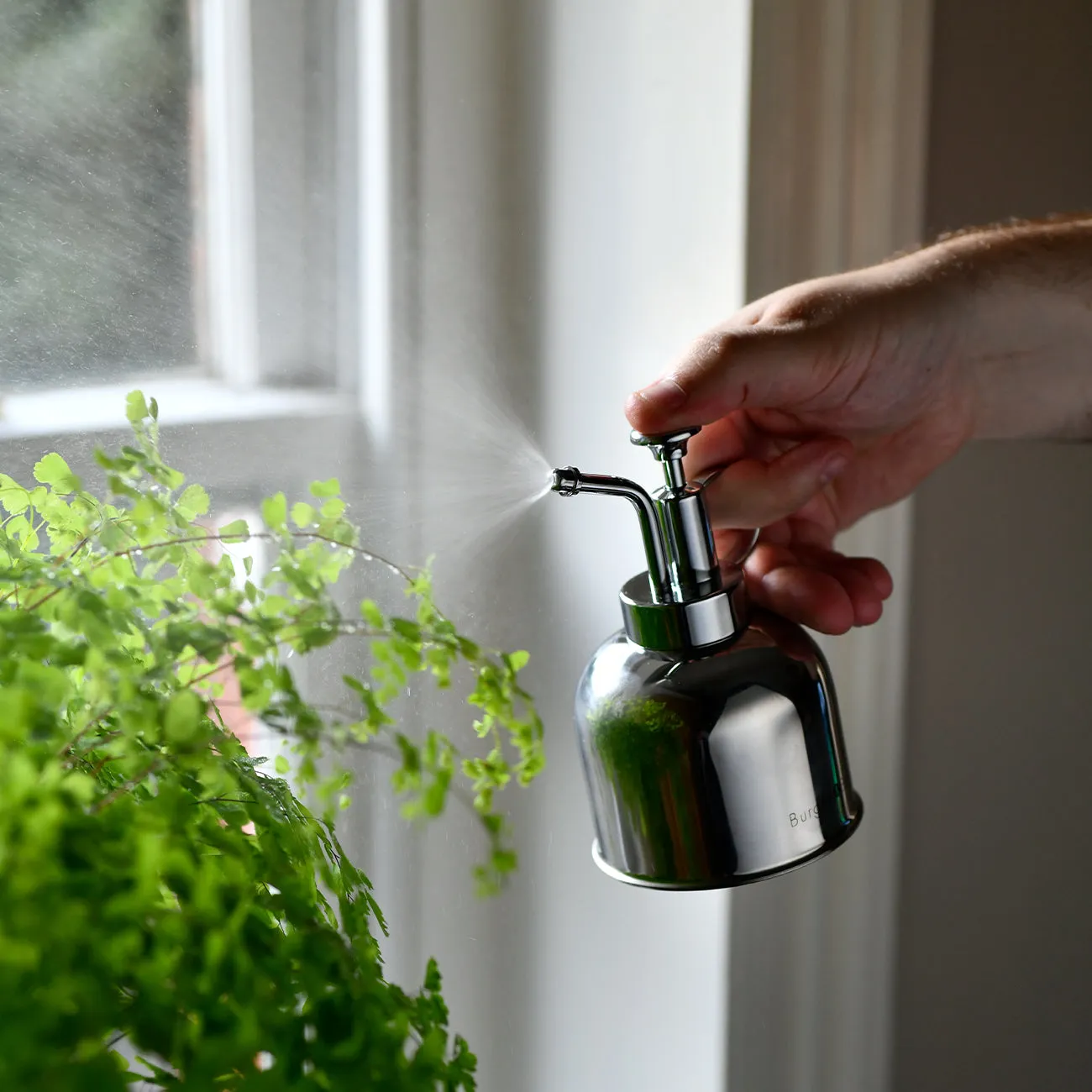Indoor Plant Mister - Stainless Steel