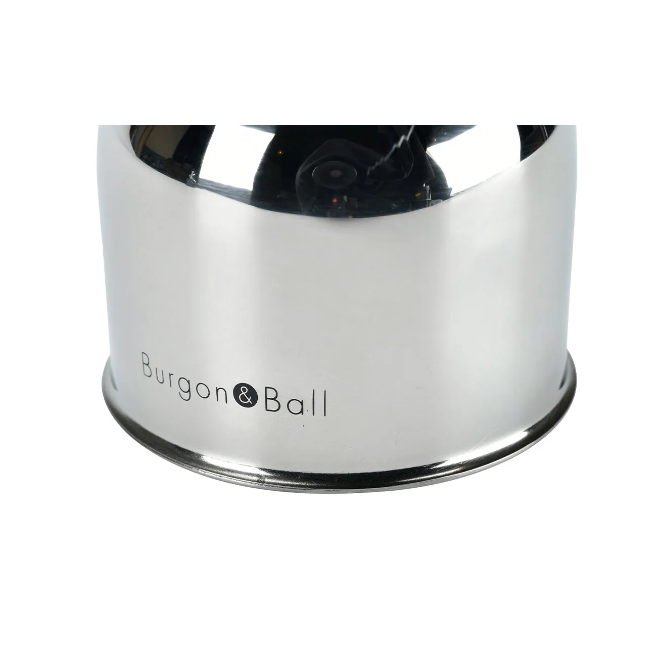 Indoor Plant Mister - Stainless Steel