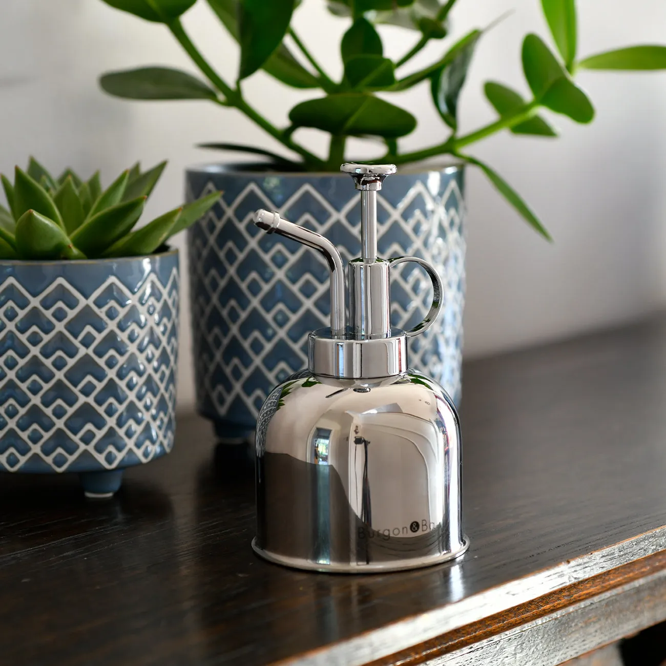 Indoor Plant Mister - Stainless Steel