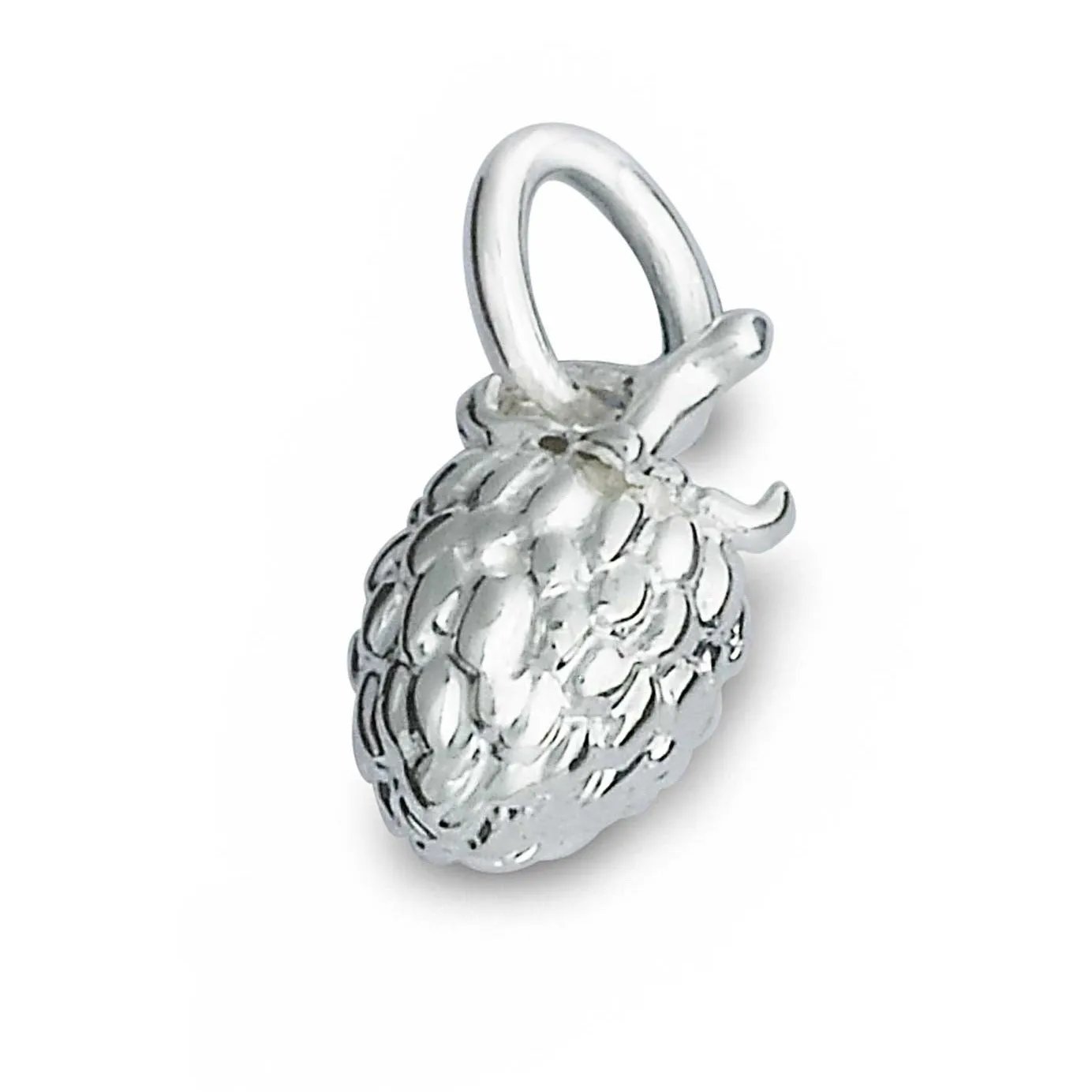 Raspberry Silver Charm