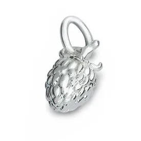 Raspberry Silver Charm